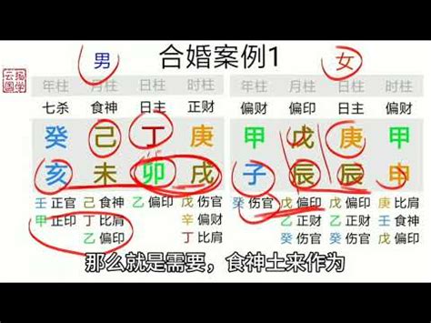 八字情絲怎麼看|八字基礎教學總整理,八字算命入門全攻略（21分鐘理解）